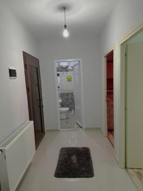 Miku Apartment 2 with Balcony, Peshkopia